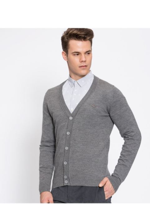 Lacoste Chemises Gris