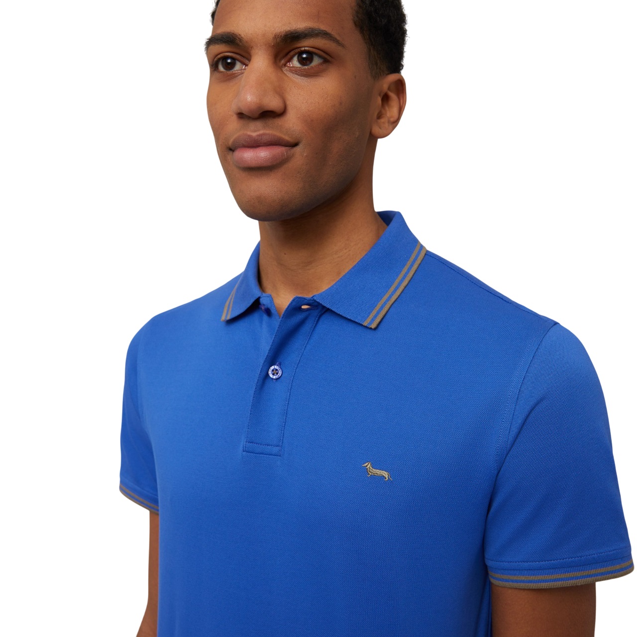 Harmont & Blaine T-shirt et Polo Chine Blu