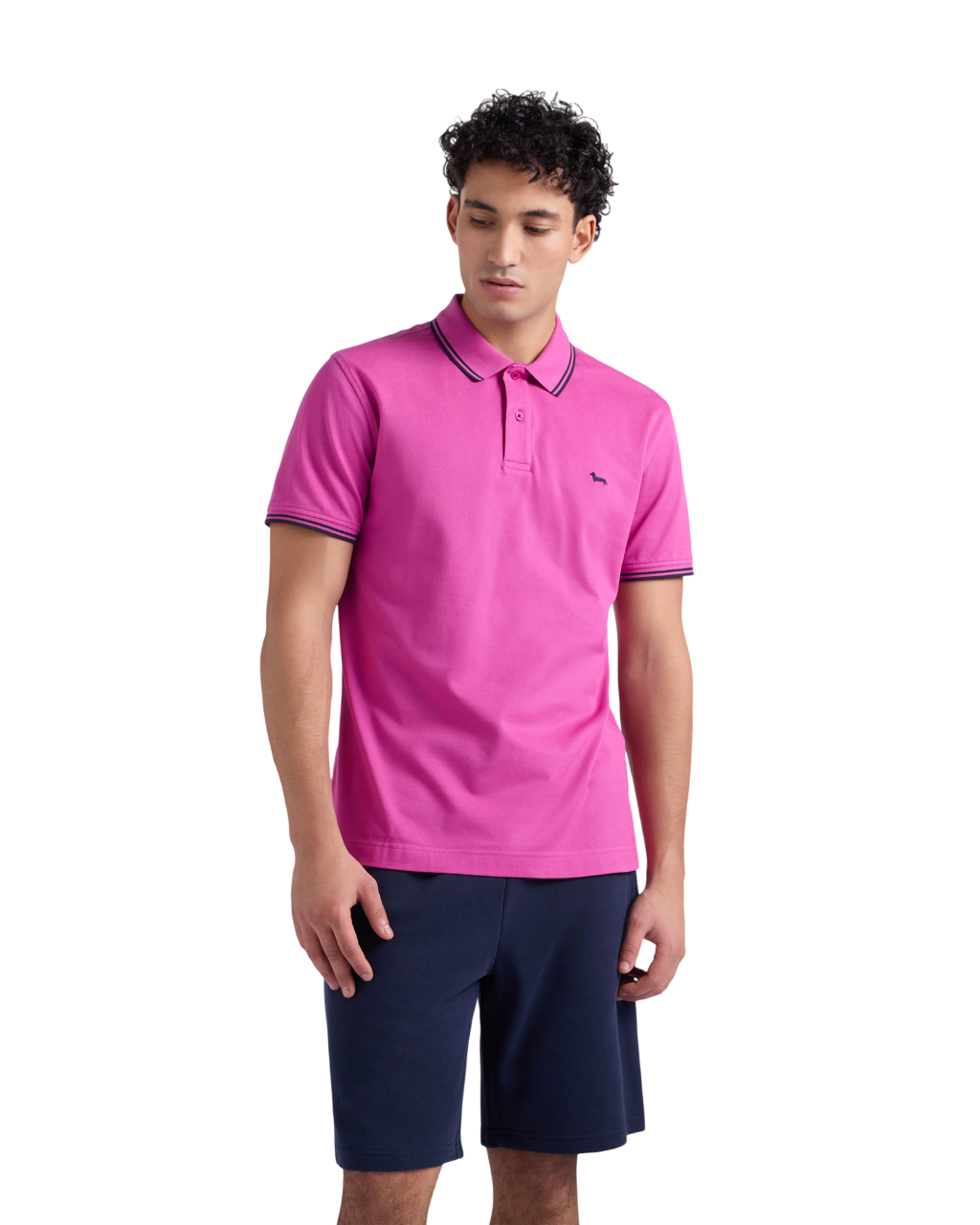 Harmont & Blaine T-shirts and Polos Purple