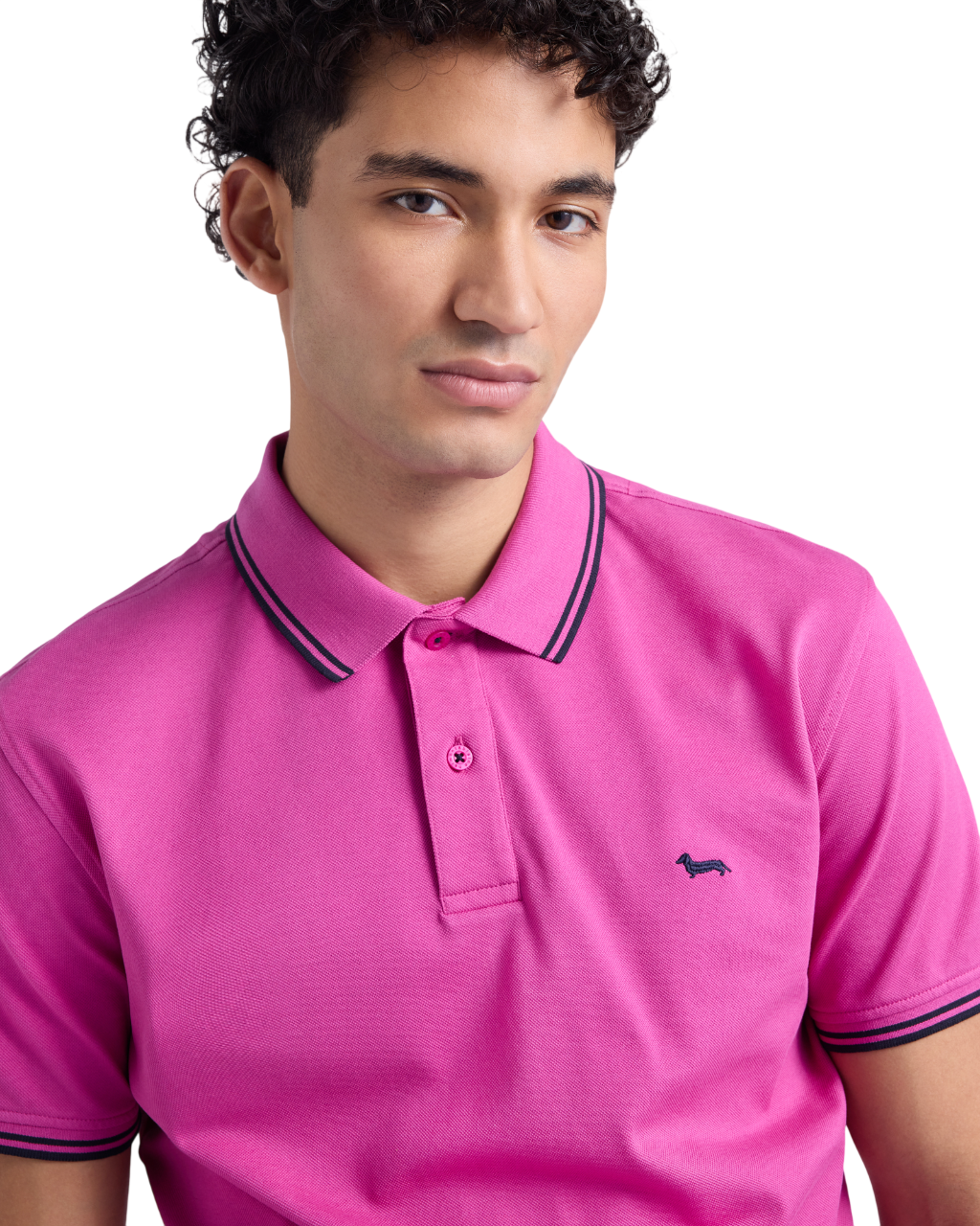 Harmont & Blaine T-shirts and Polos Purple