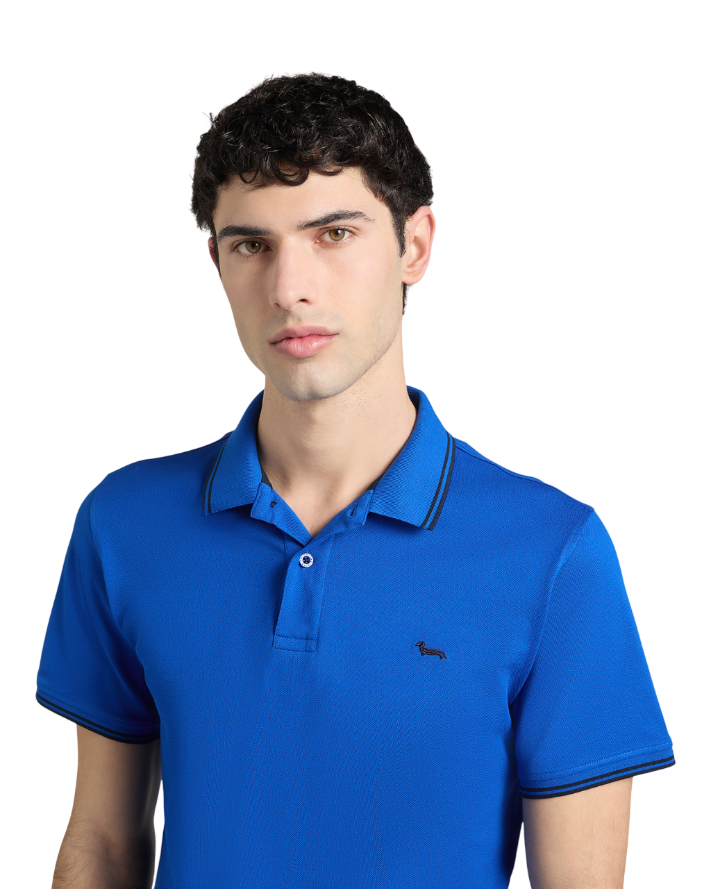 Harmont & Blaine T-shirts and Polos Blu