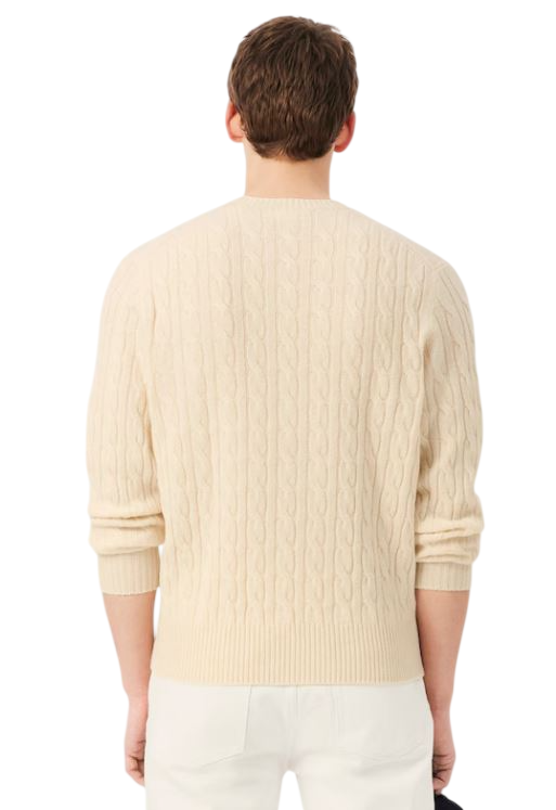 Lacoste Hemden