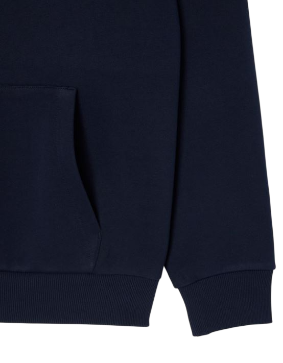 Lacoste Sweaters Blu