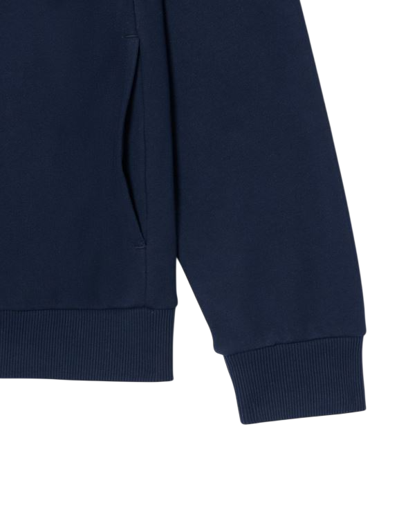 Lacoste Sweaters Blu