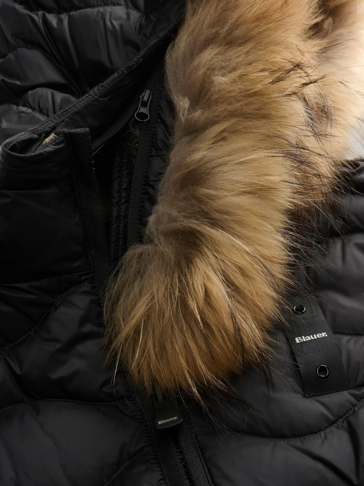 Blauer Vestes blanches