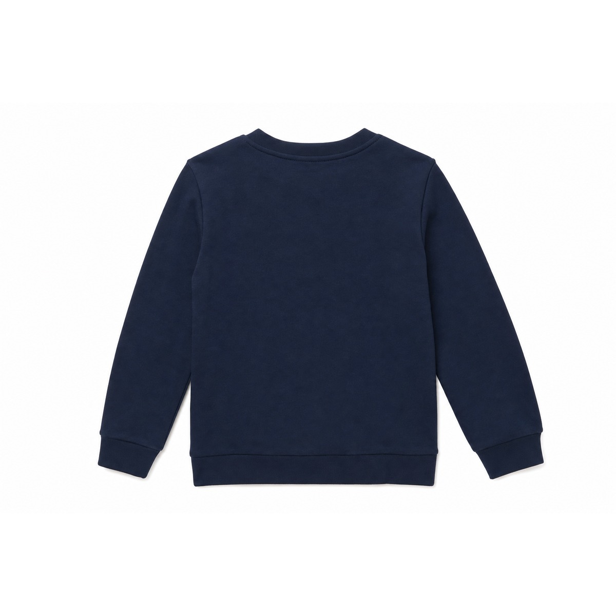 Lacoste Marine Jerseys