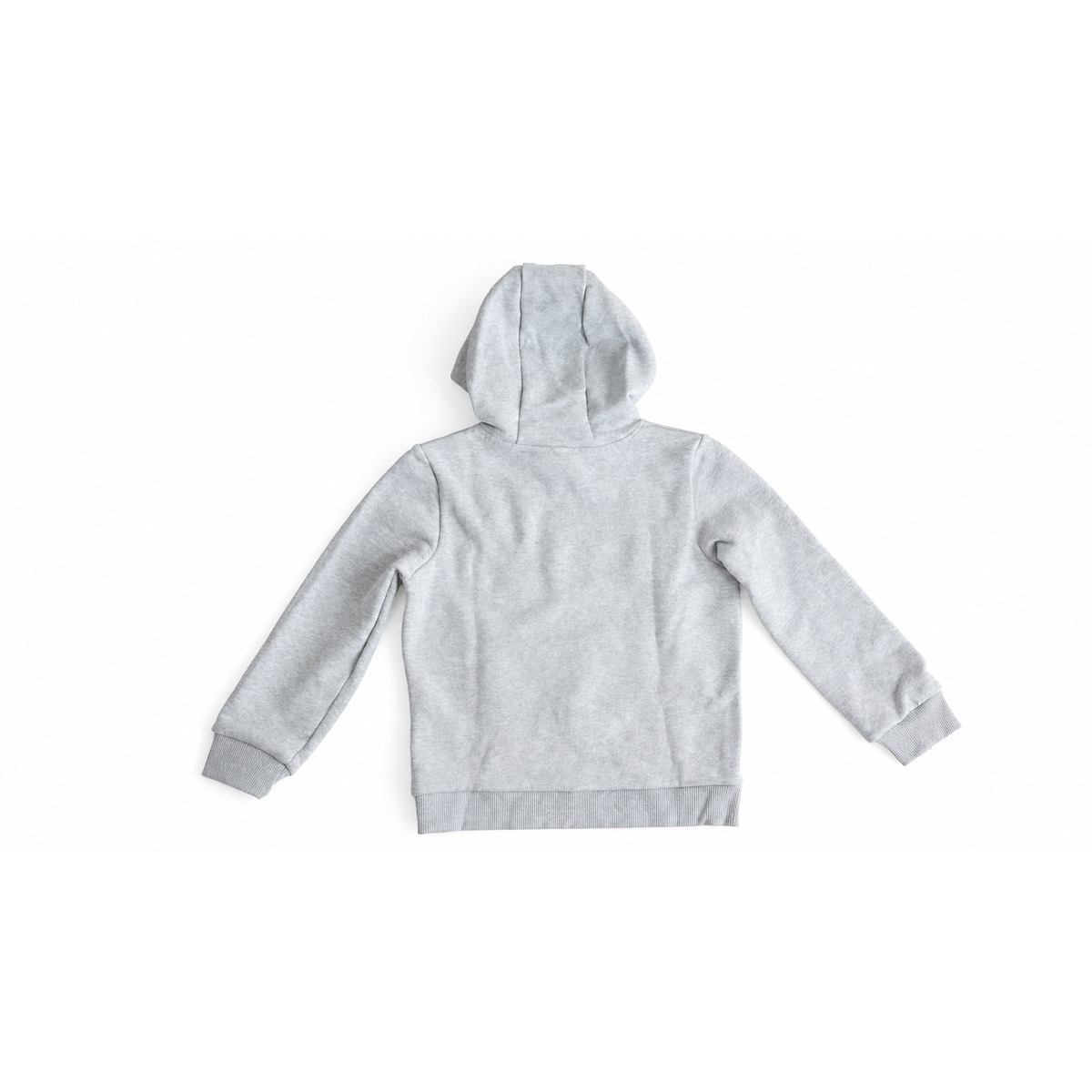 Lacoste Shirts Grau