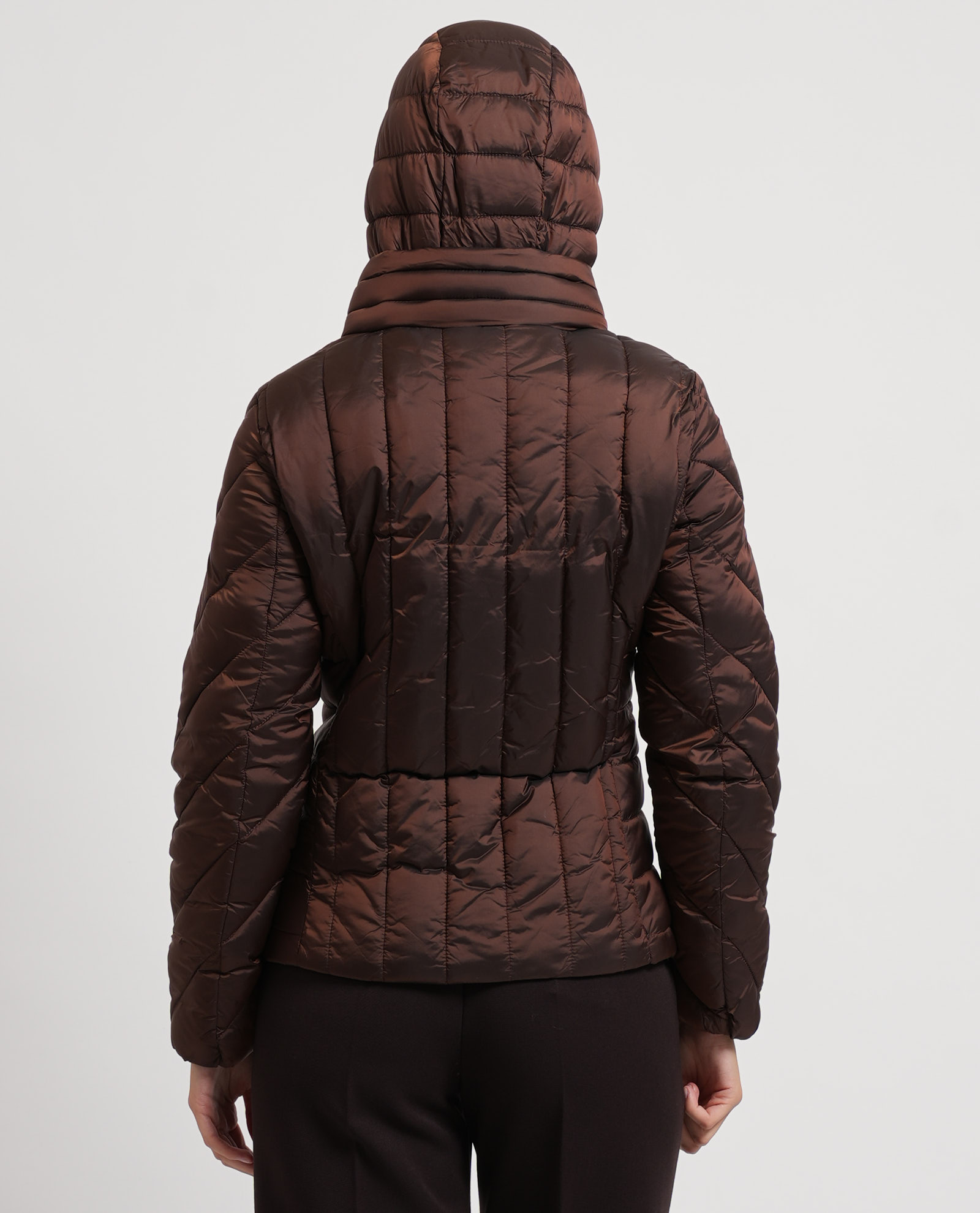 Gaudì Chaquetas Brown