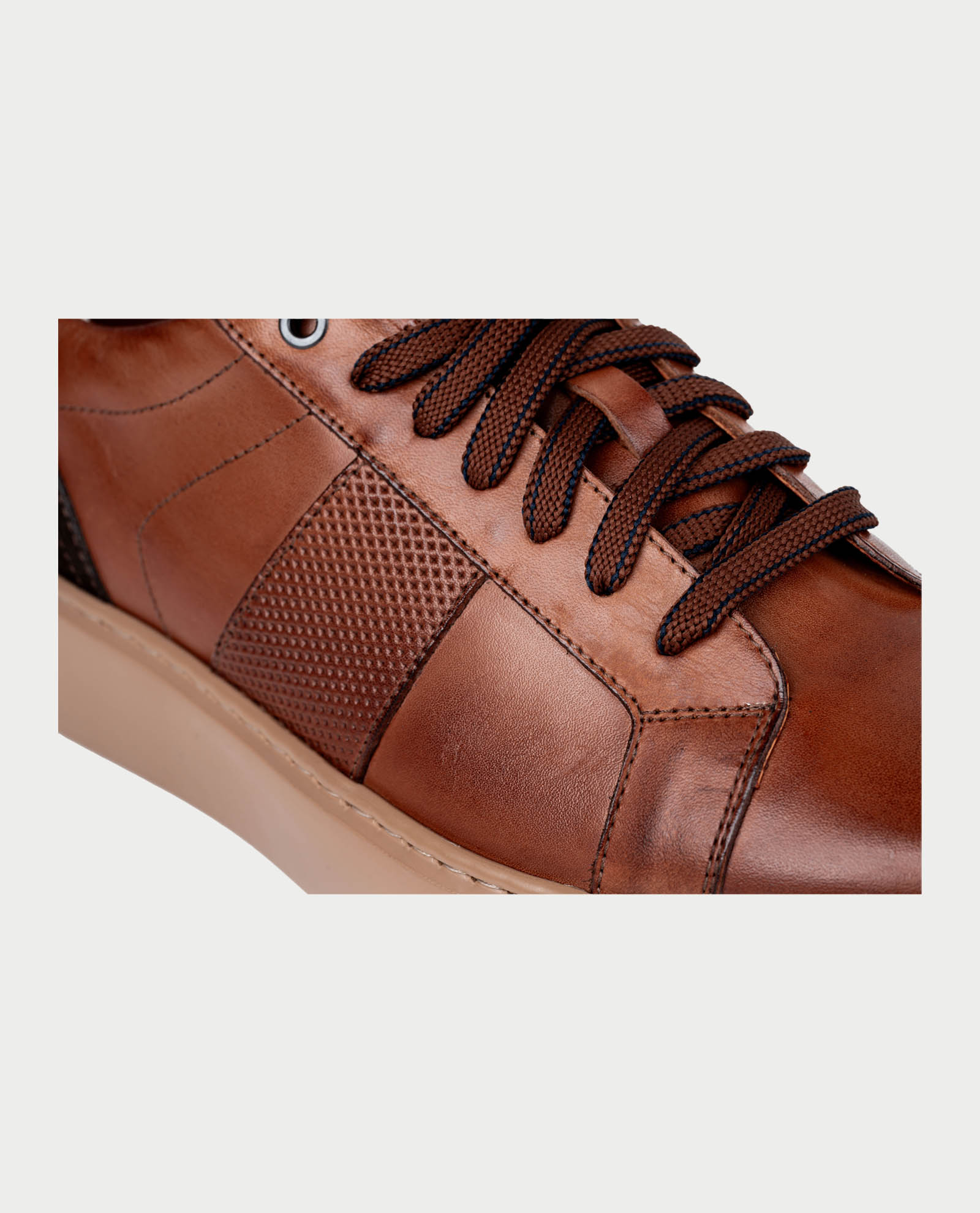 Exton Sneakers Brown