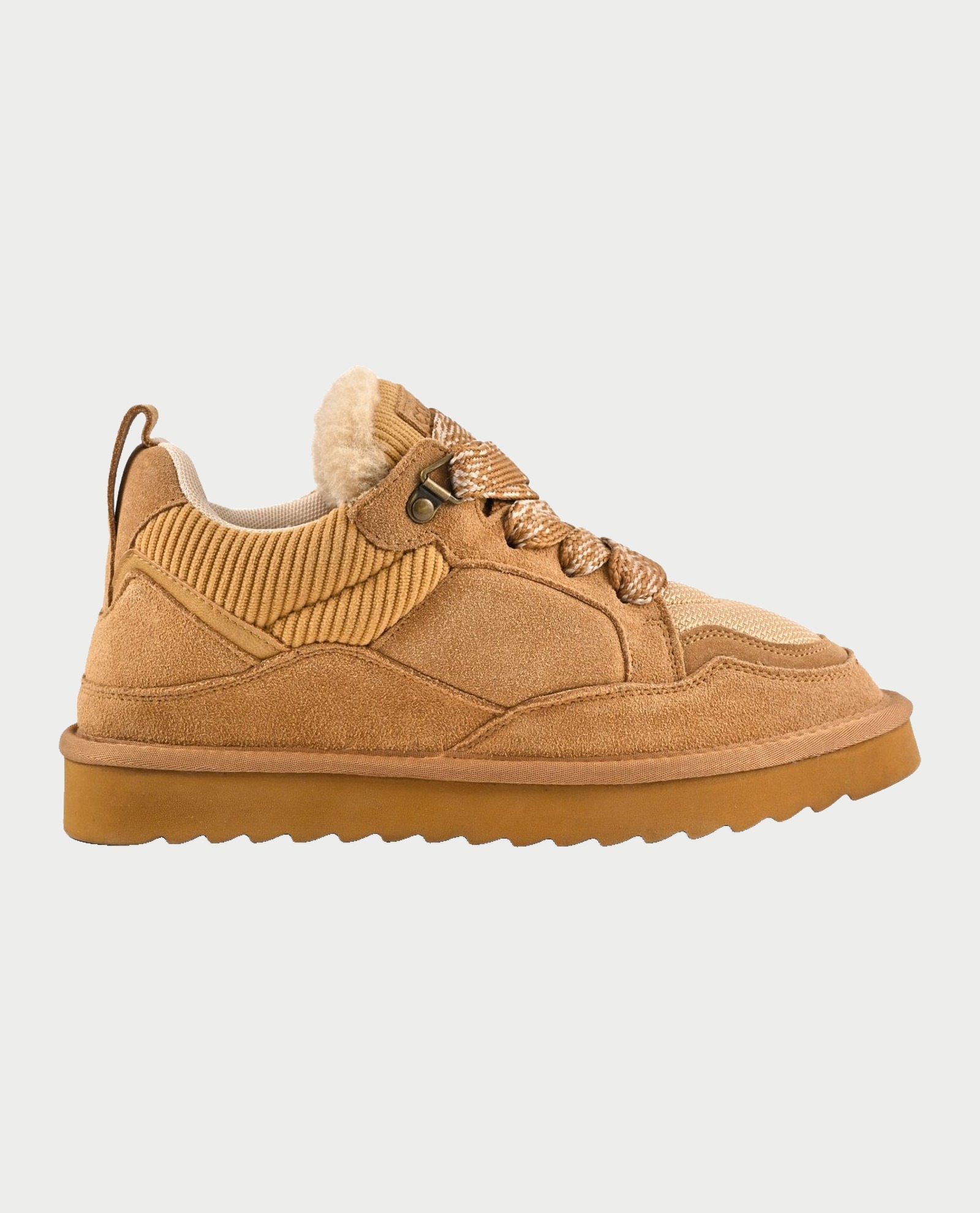 Colors of California Sneakers Marrone