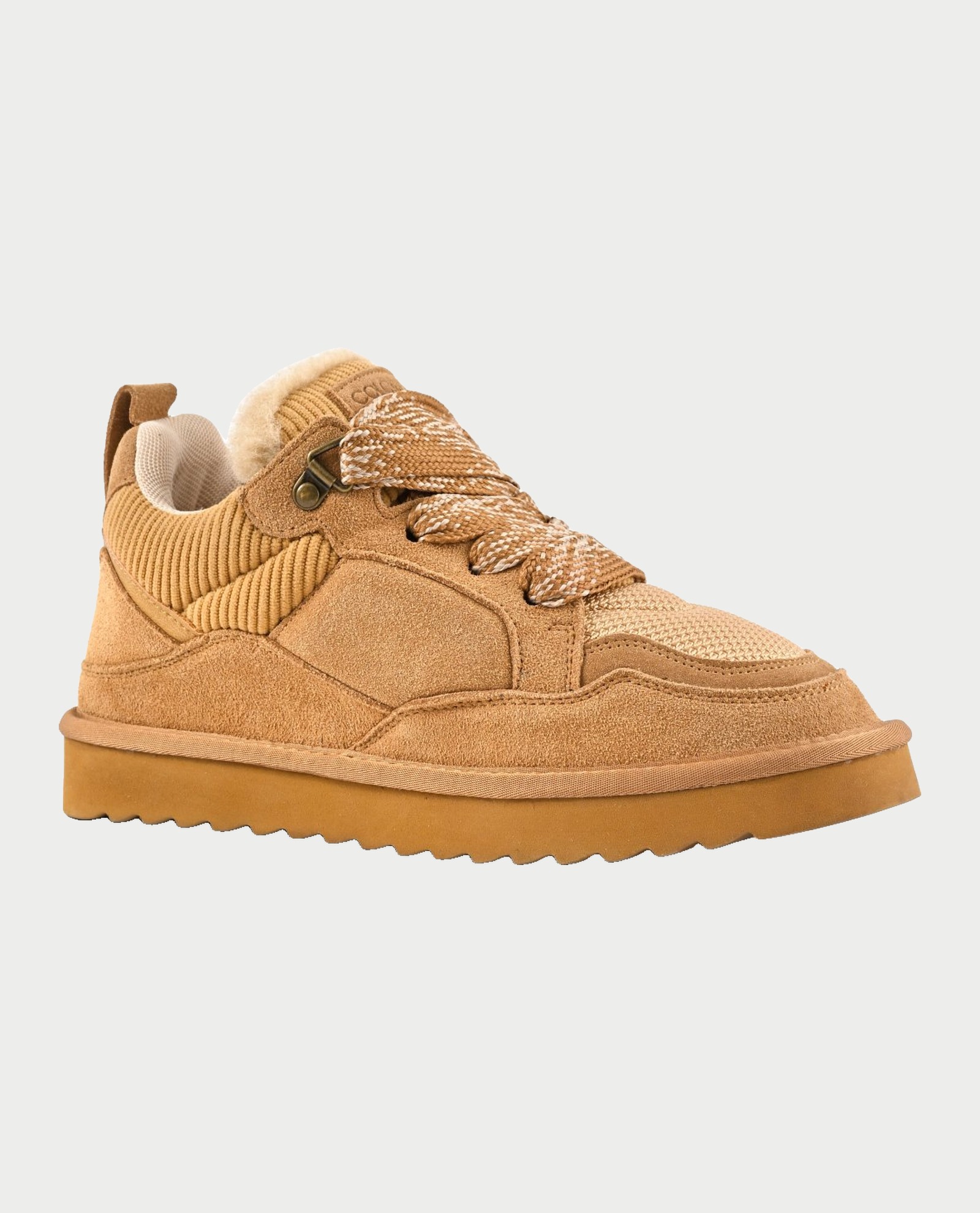Colors of California Sneakers Marrone