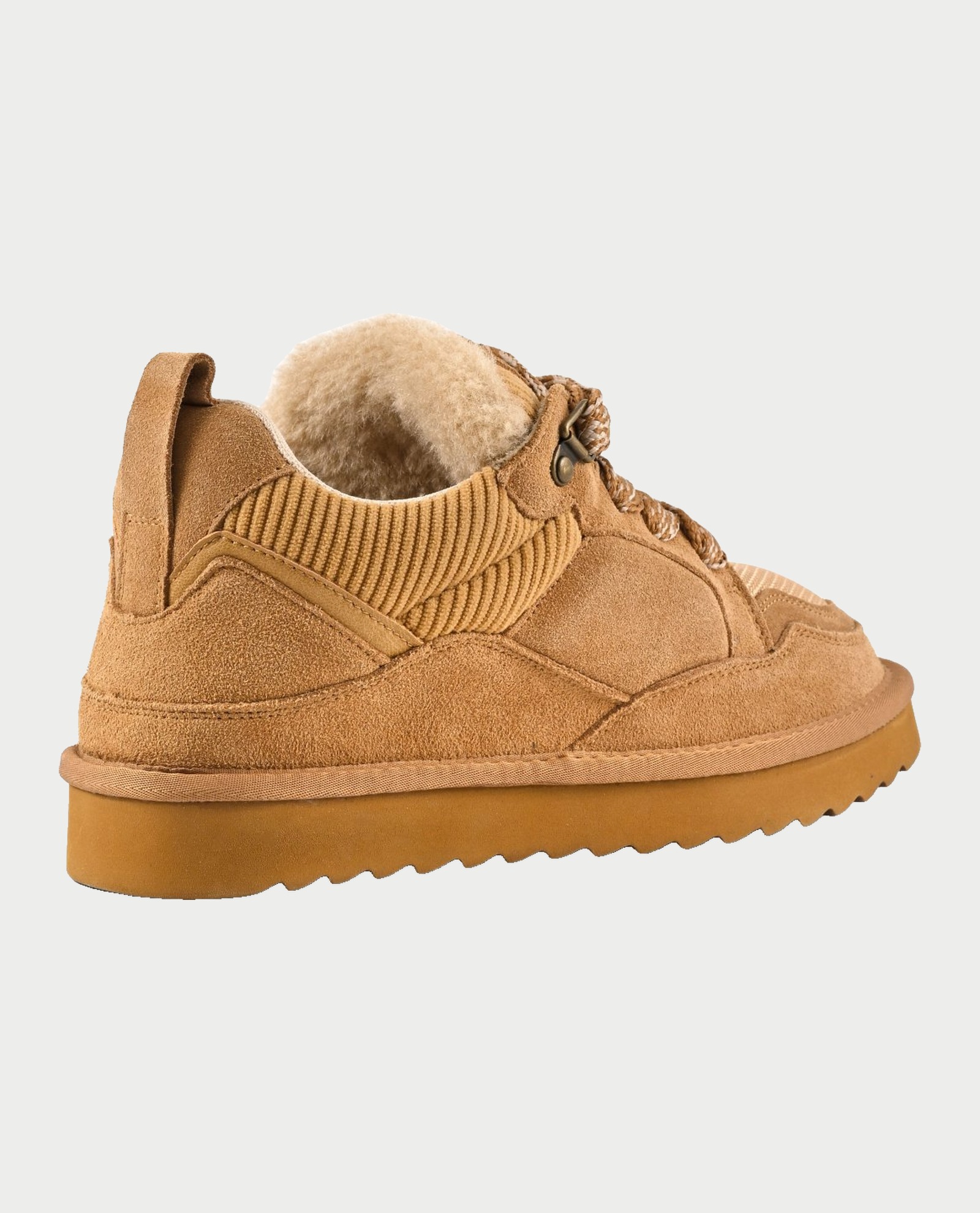 Colors of California Sneakers Marrone