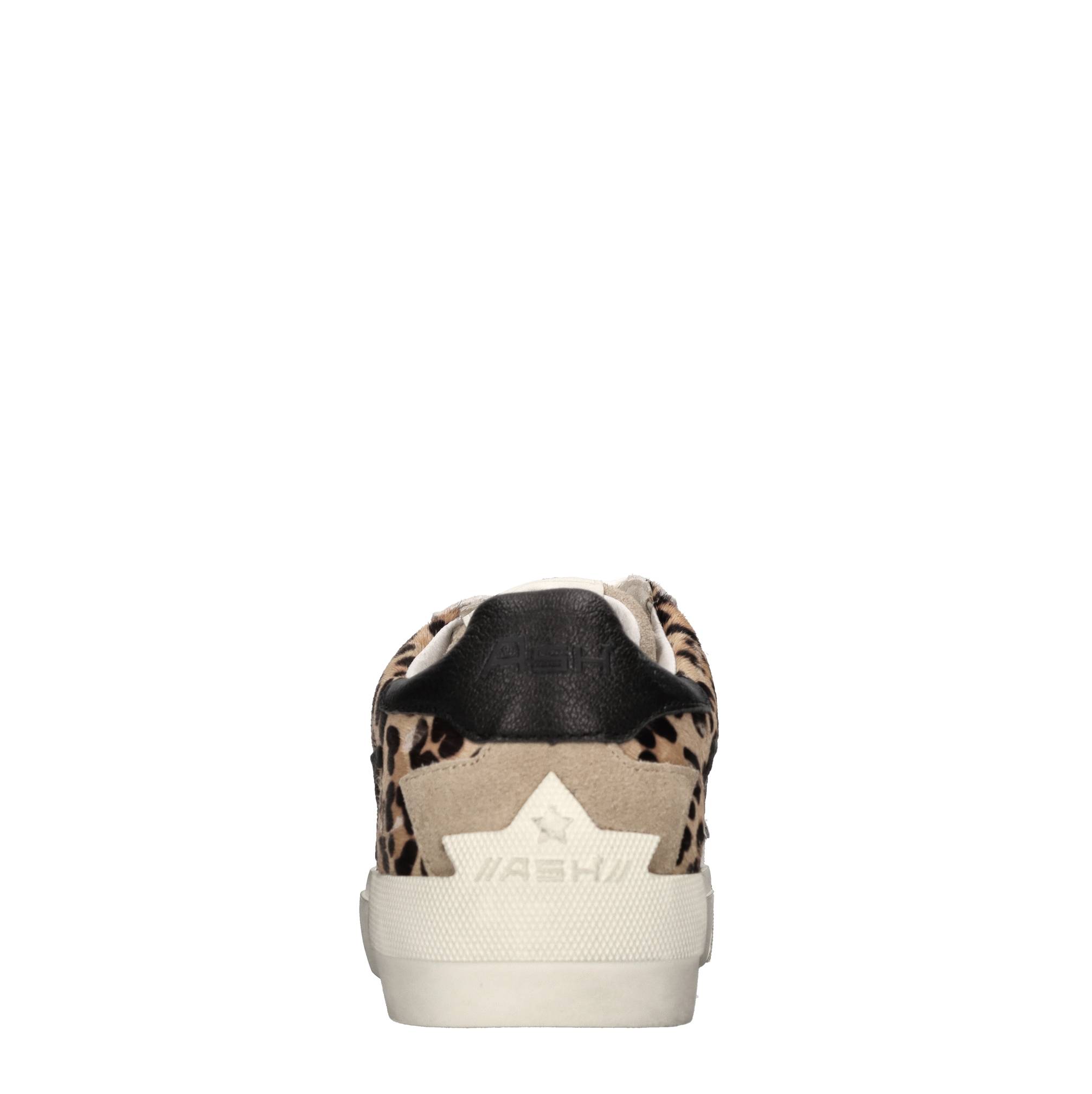 Ash Sneakers Brown