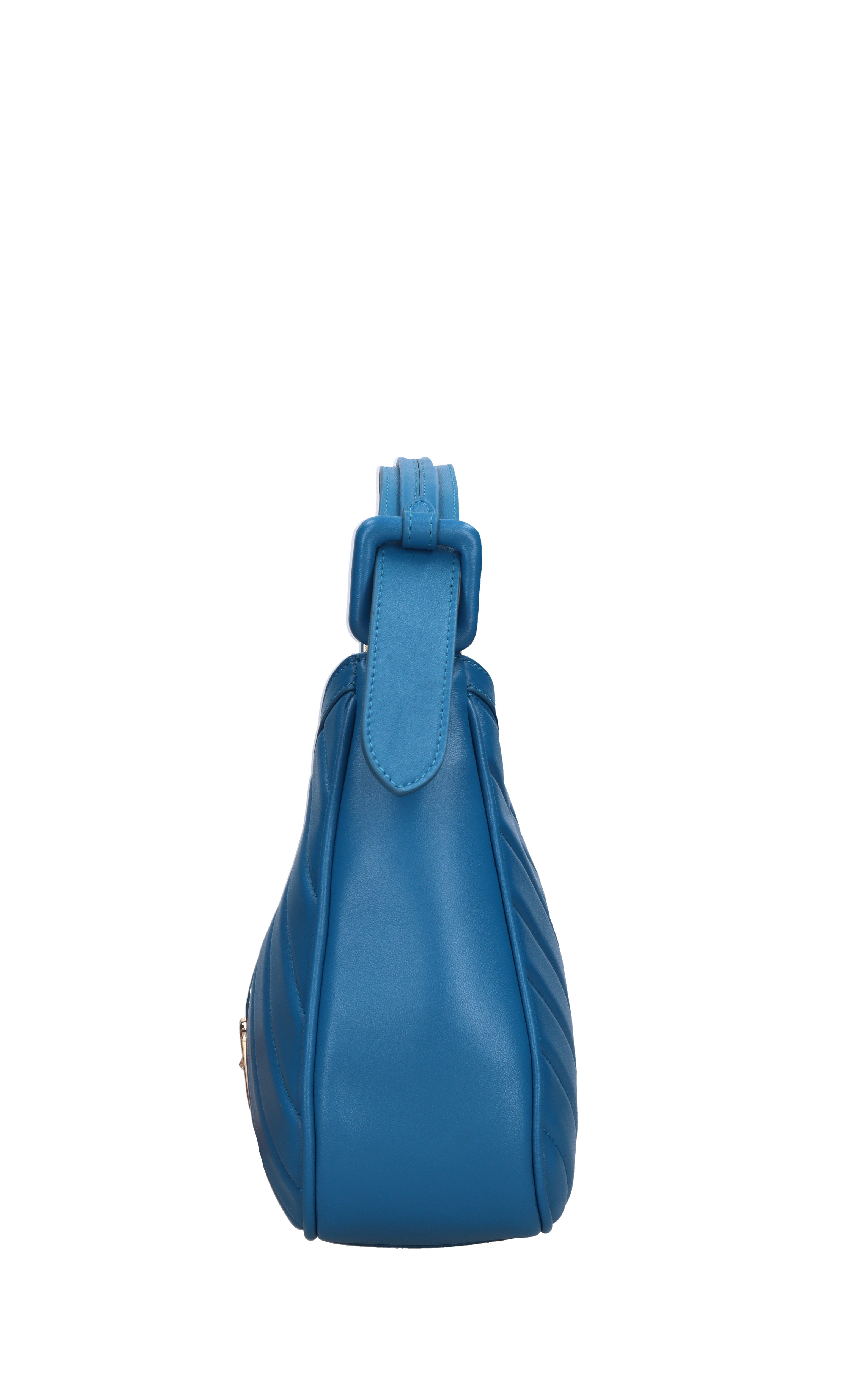 La Carrie Des sacs. Bleu