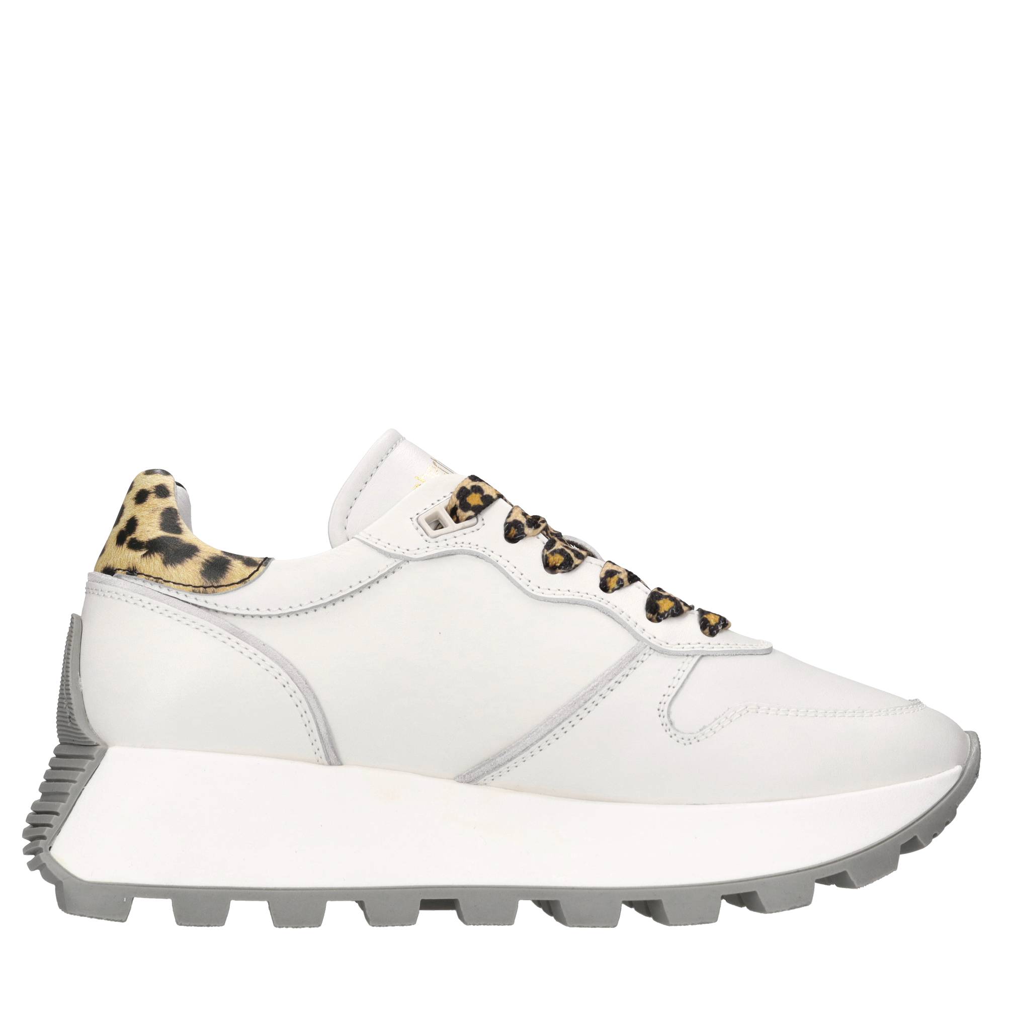 Roberto Cavalli Sneakers blancs