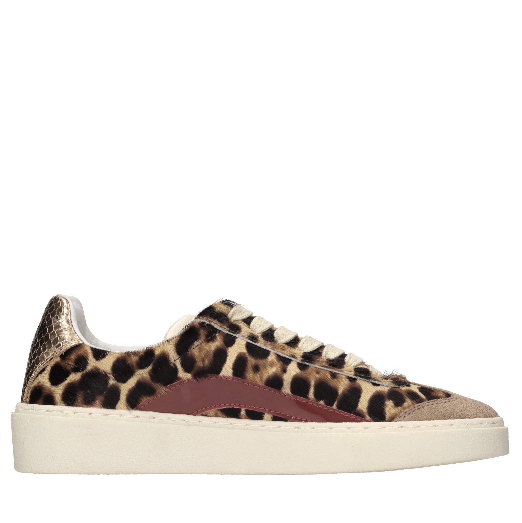 Dsquared2 Sneakers Multicolor